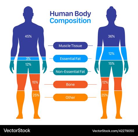 The human body is often seen through a male lens. 30 female ...